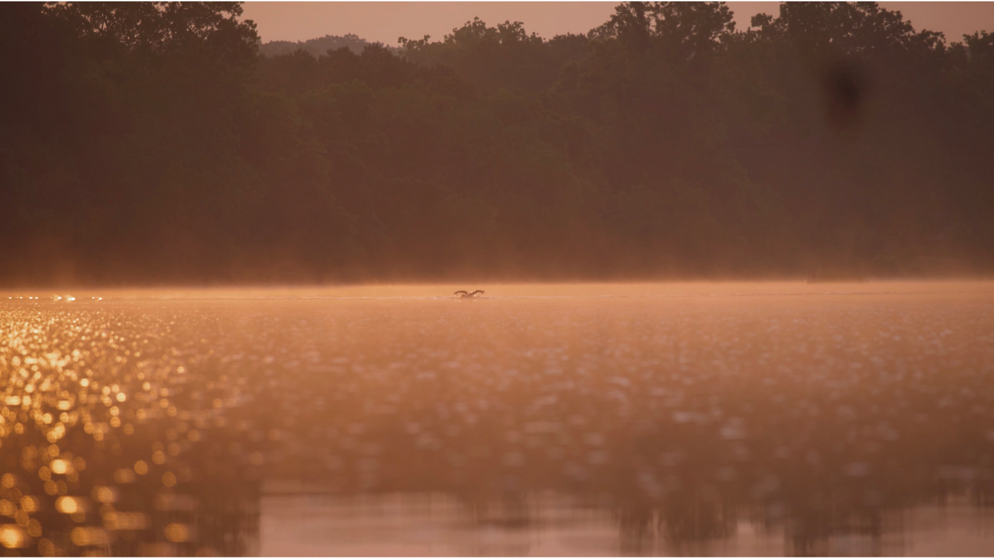 Choosing Your Own Adventure - Cross Virginia Ultra-Triathlon Adventure