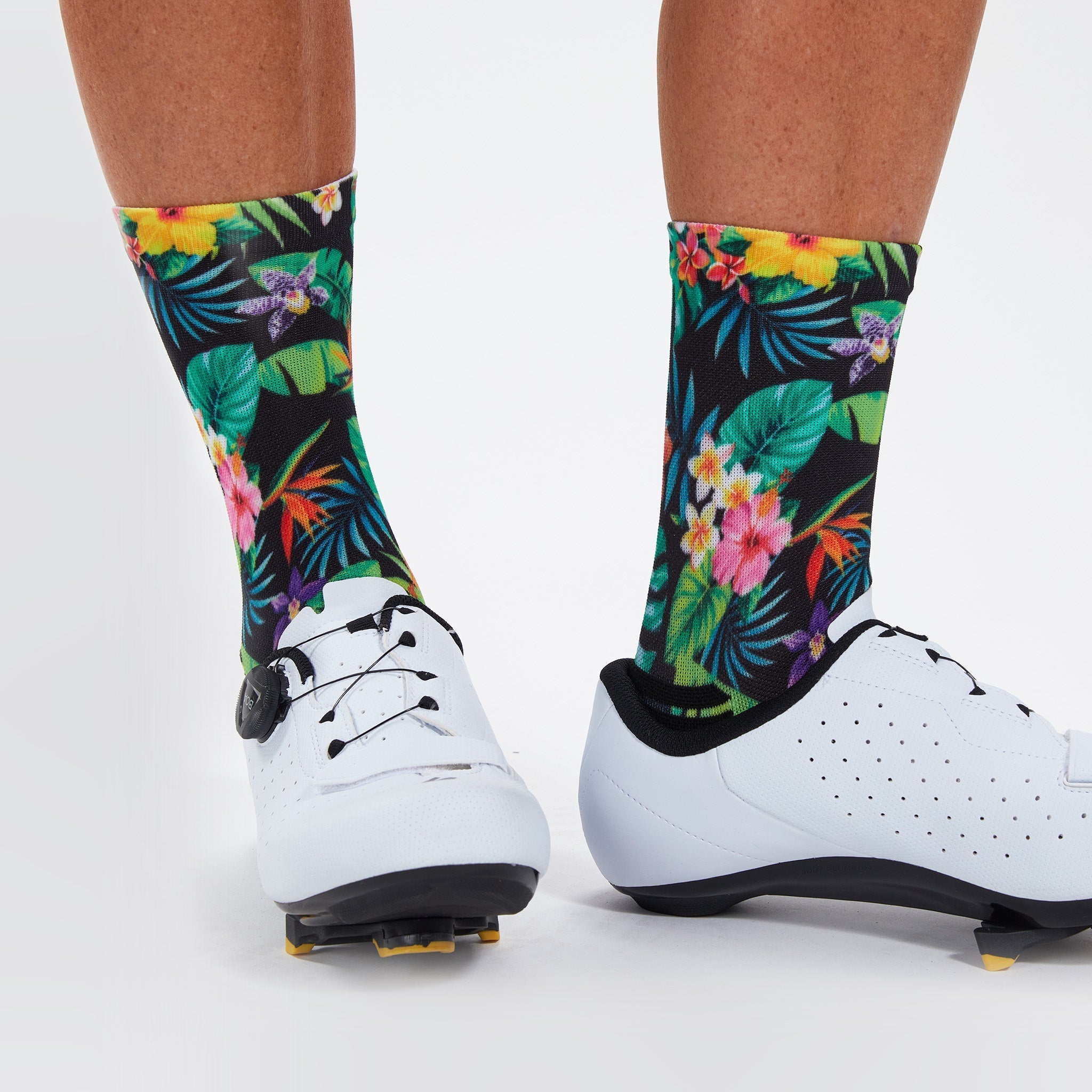Zoot Sports SOCKS UNISEX 6" SOCK - TROPICAL