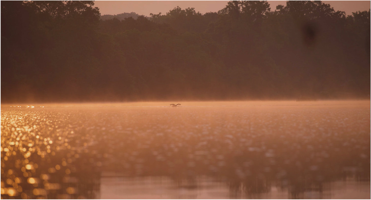 Choosing Your Own Adventure - Cross Virginia Ultra-Triathlon Adventure