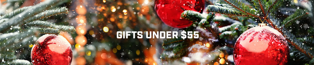 GIFTS UNDER $55