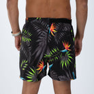 Zoot Sports RUN BOTTOMS Men's Ltd Run 5" Short - Tropical Magic