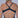 Zoot Sports SWIM Women's Ltd Swimsuit - Phoenix