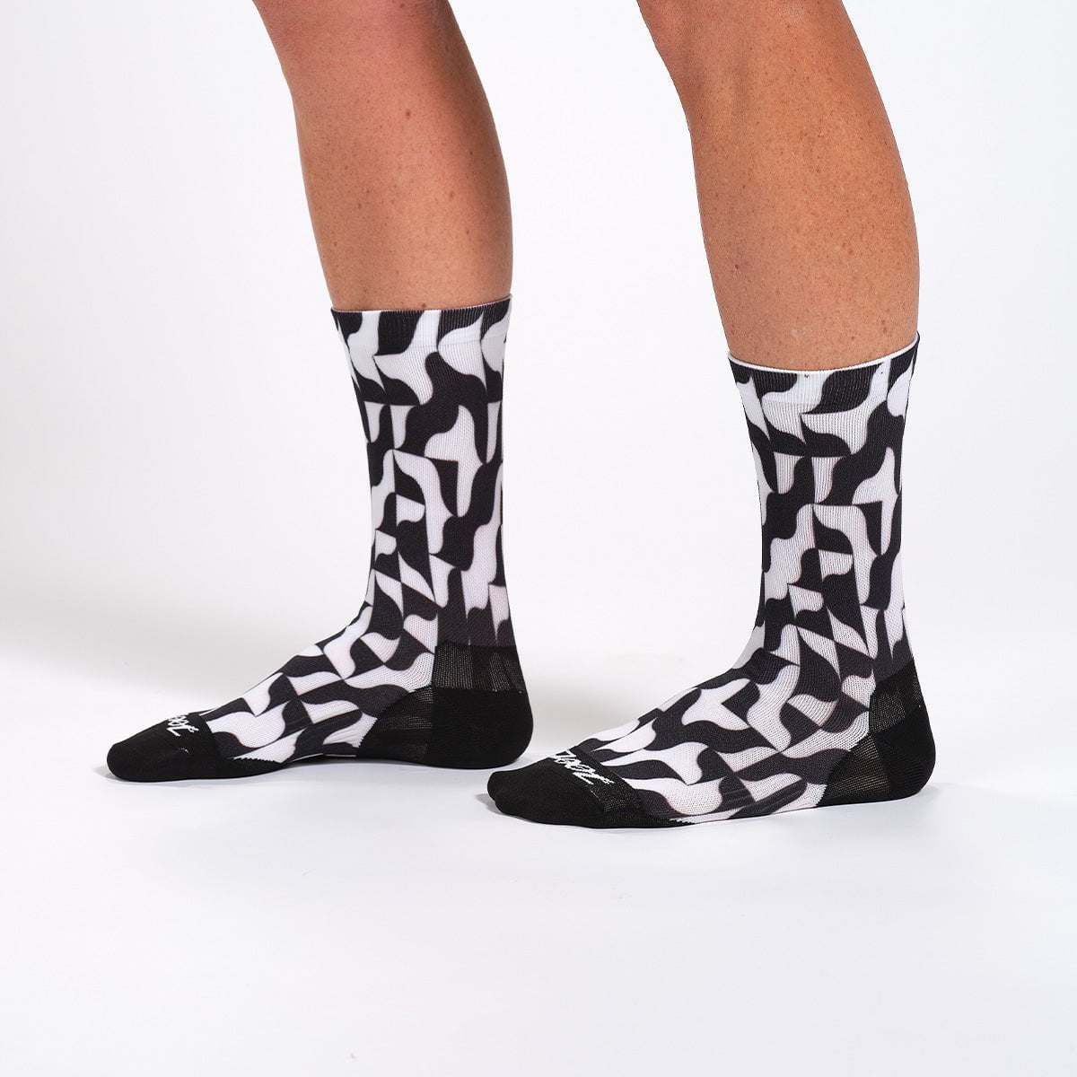 Zoot Sports SOCKS UNISEX 6" SOCK - MOD