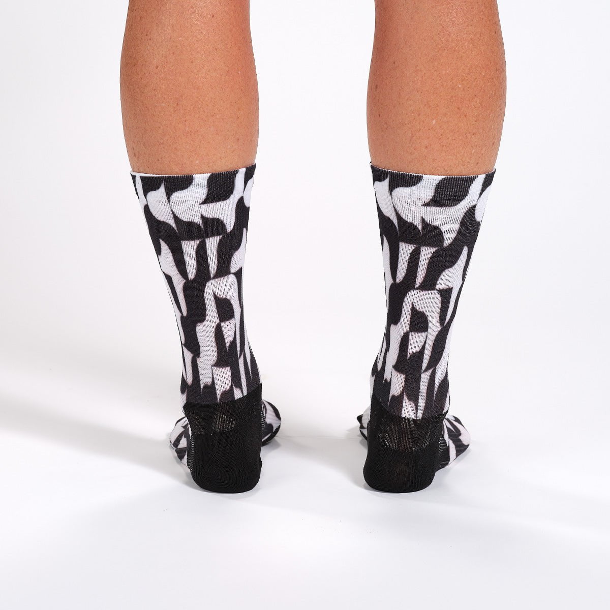 Zoot Sports SOCKS UNISEX 6" SOCK - MOD